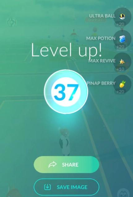 Level Up Your Trainer