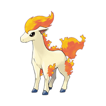 Ponyta