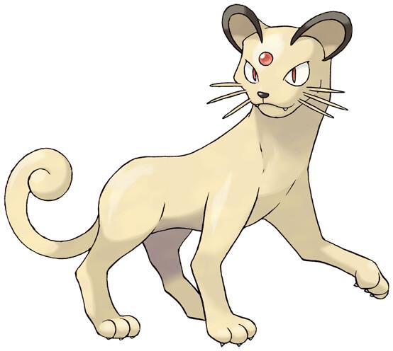 Shadow Persian