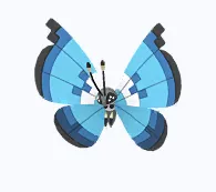 Marine Vivillon